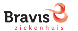 logo bravis