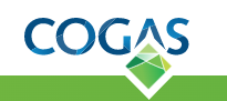 logo cogas